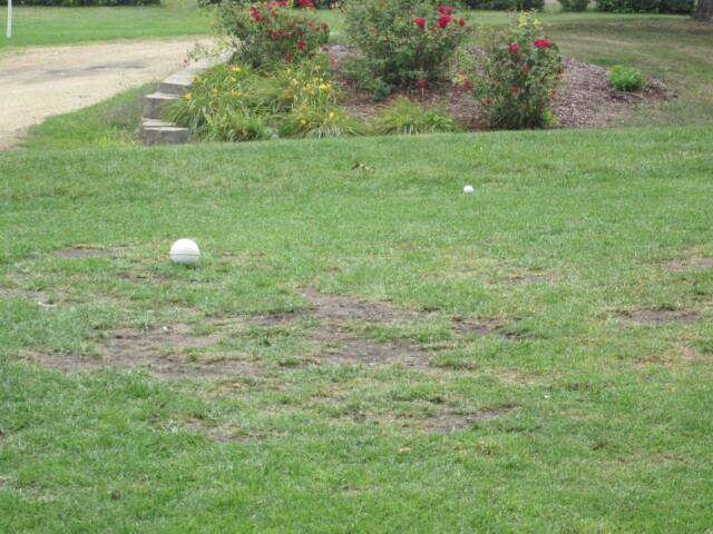 img 0055