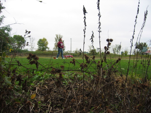 picture 030