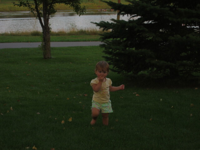 picture 065